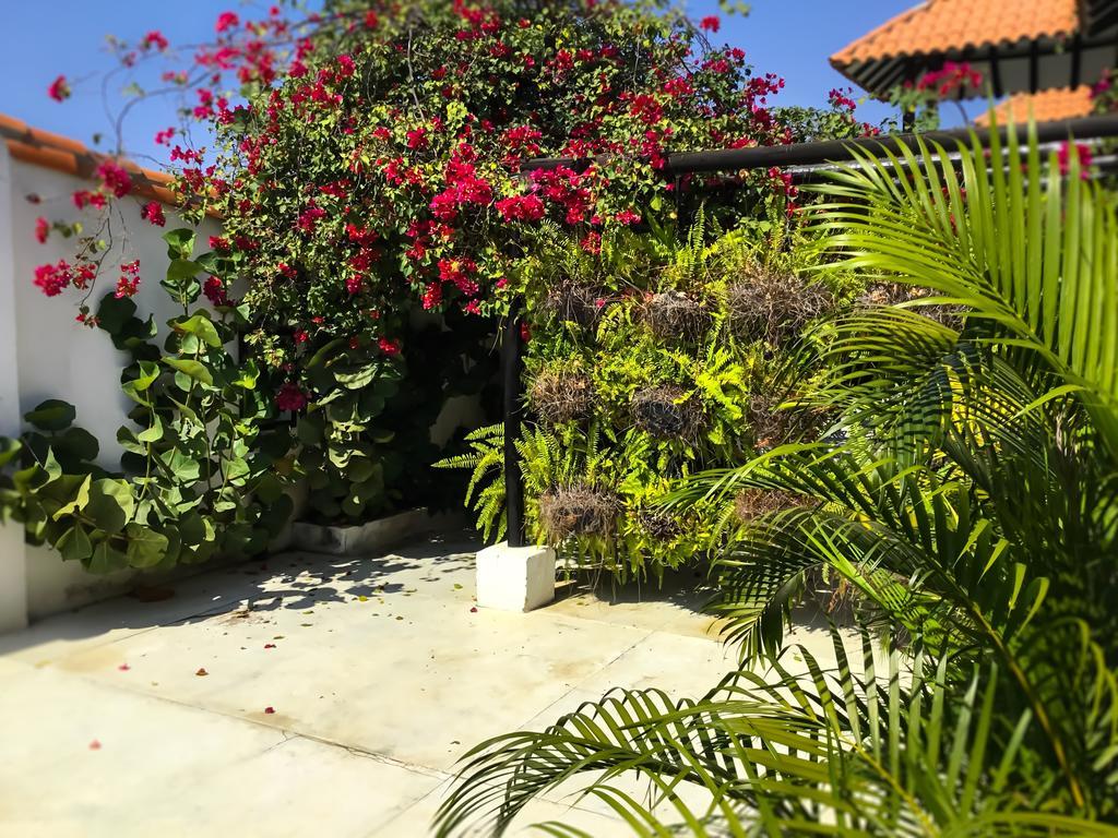 Bed and Breakfast Casa Ines Santa Marta  Exterior foto
